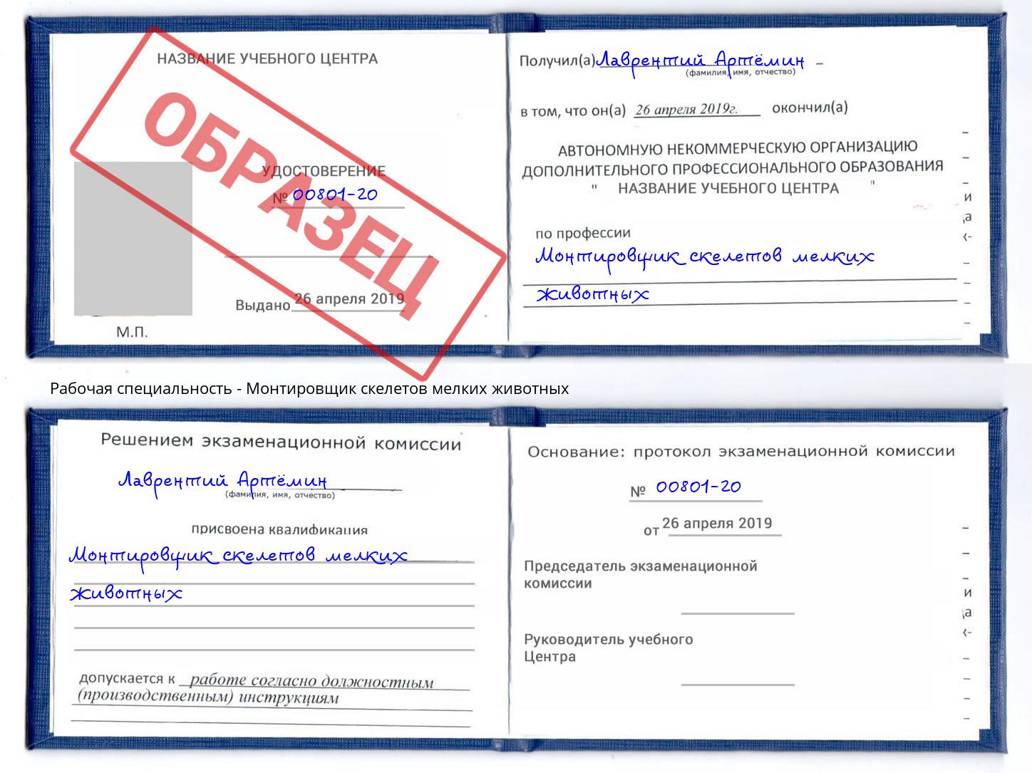 Монтировщик скелетов мелких животных Черкесск